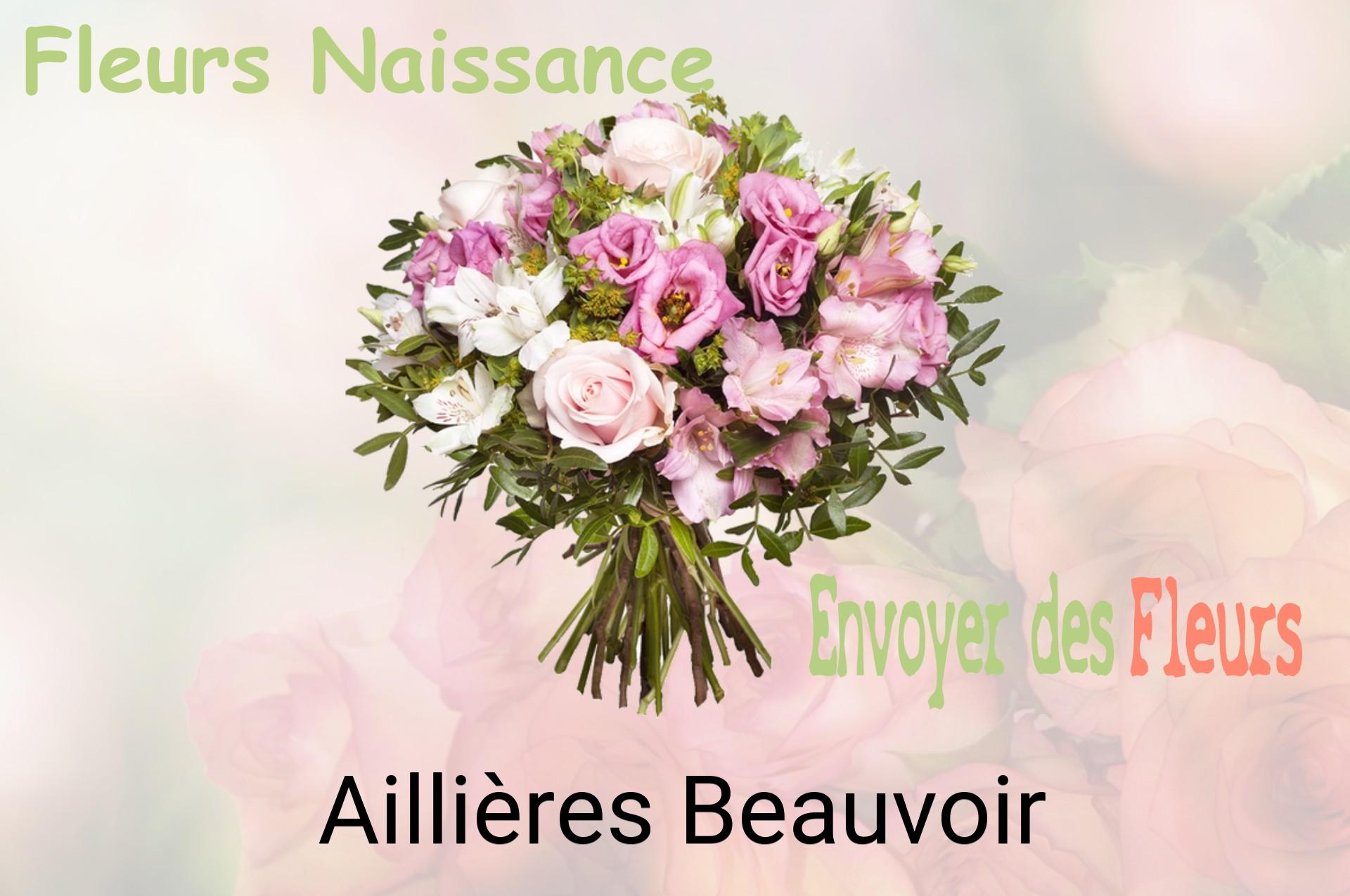 Bouquet de fleurs de naissance livré à Aillières-Beauvoir